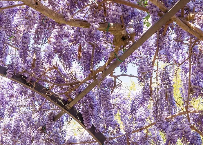 Βίλα Marino In Aurora *