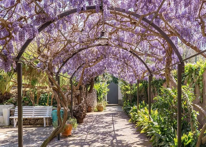 Marino In Aurora * Κάπρι