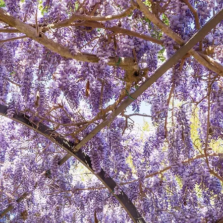 别墅 Marino In Aurora *