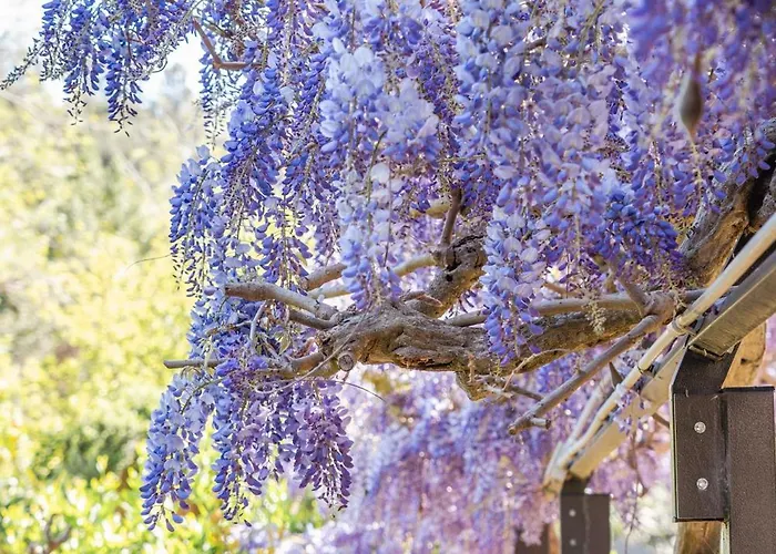 Marino In Aurora Villa